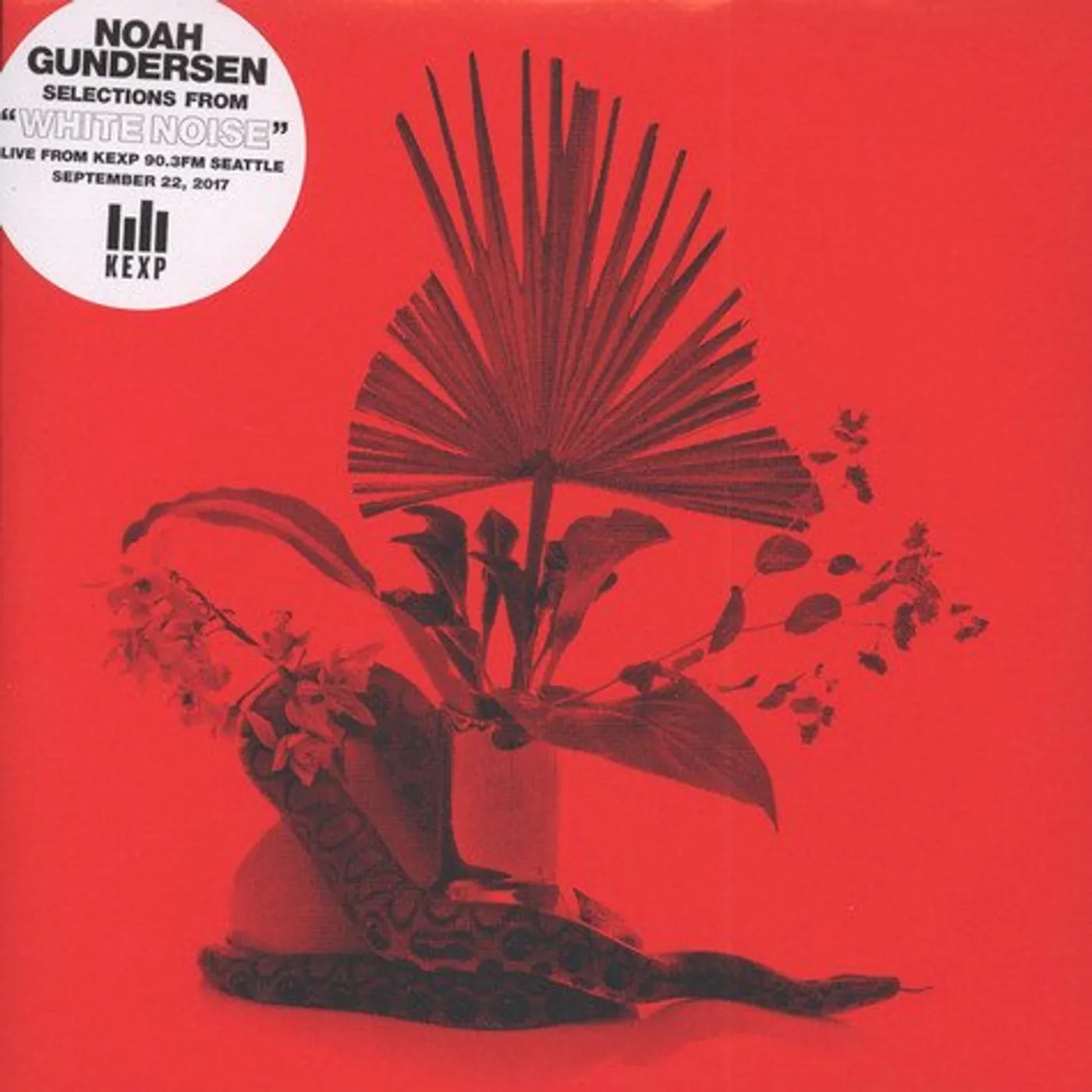 Noah Gundersen SELECTIONS FROM WHITE NOISE LIVE FROM KEXP 90.3 FM Vinyl Record