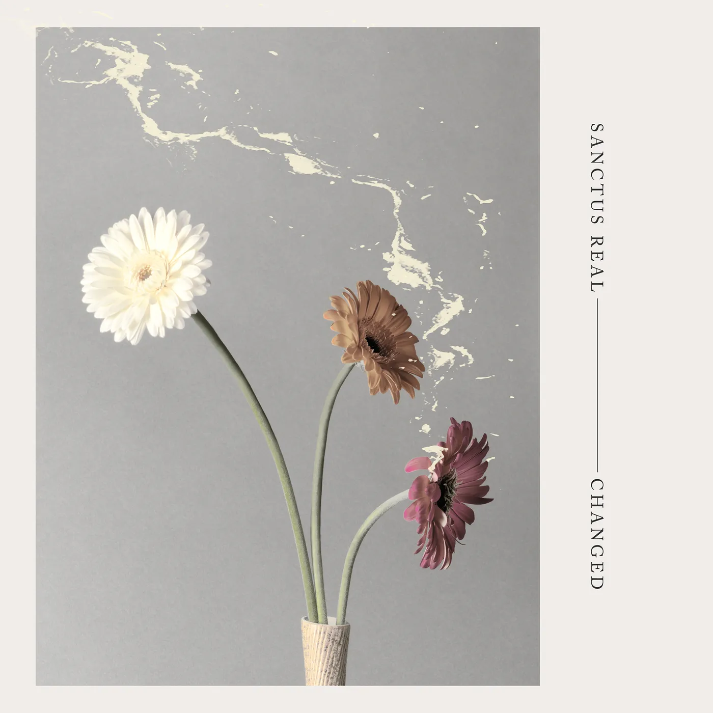 Sanctus Real CHANGED CD