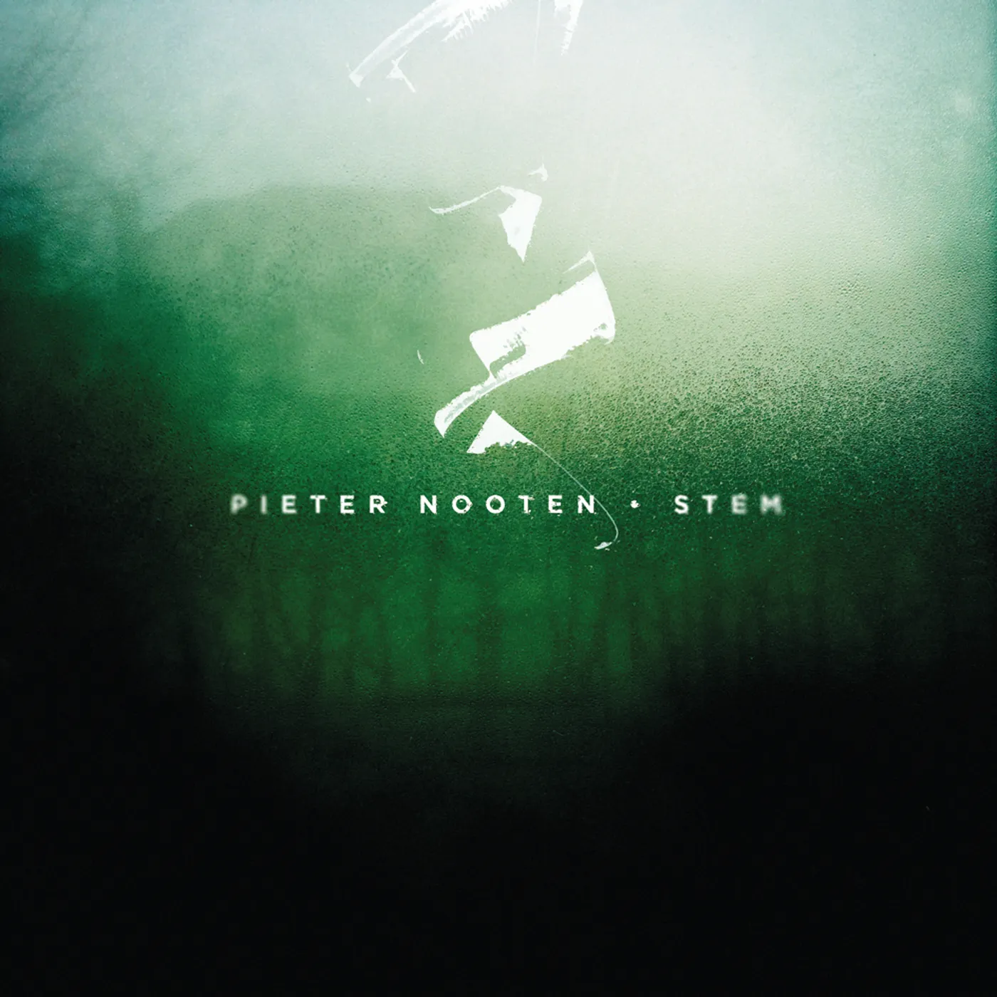 Pieter Nooten Stem Vinyl Record