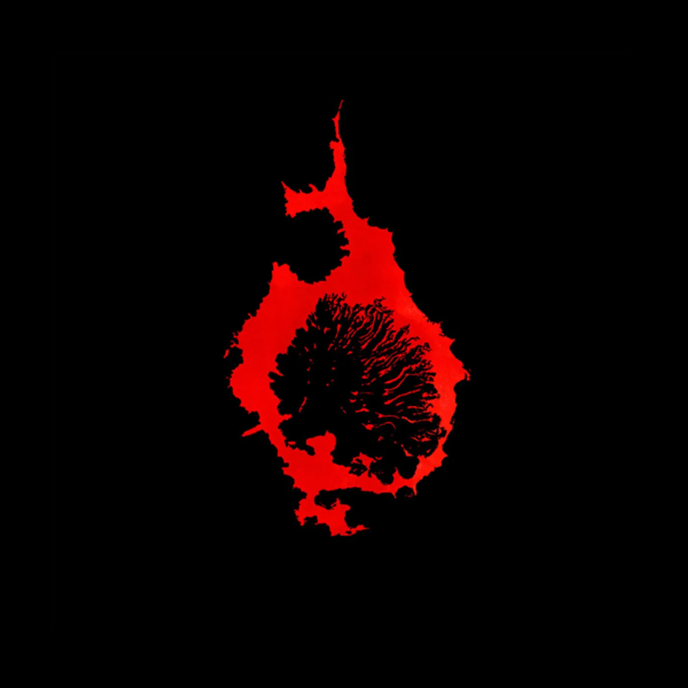 C. Diab Exit Rumination Vinyl Record