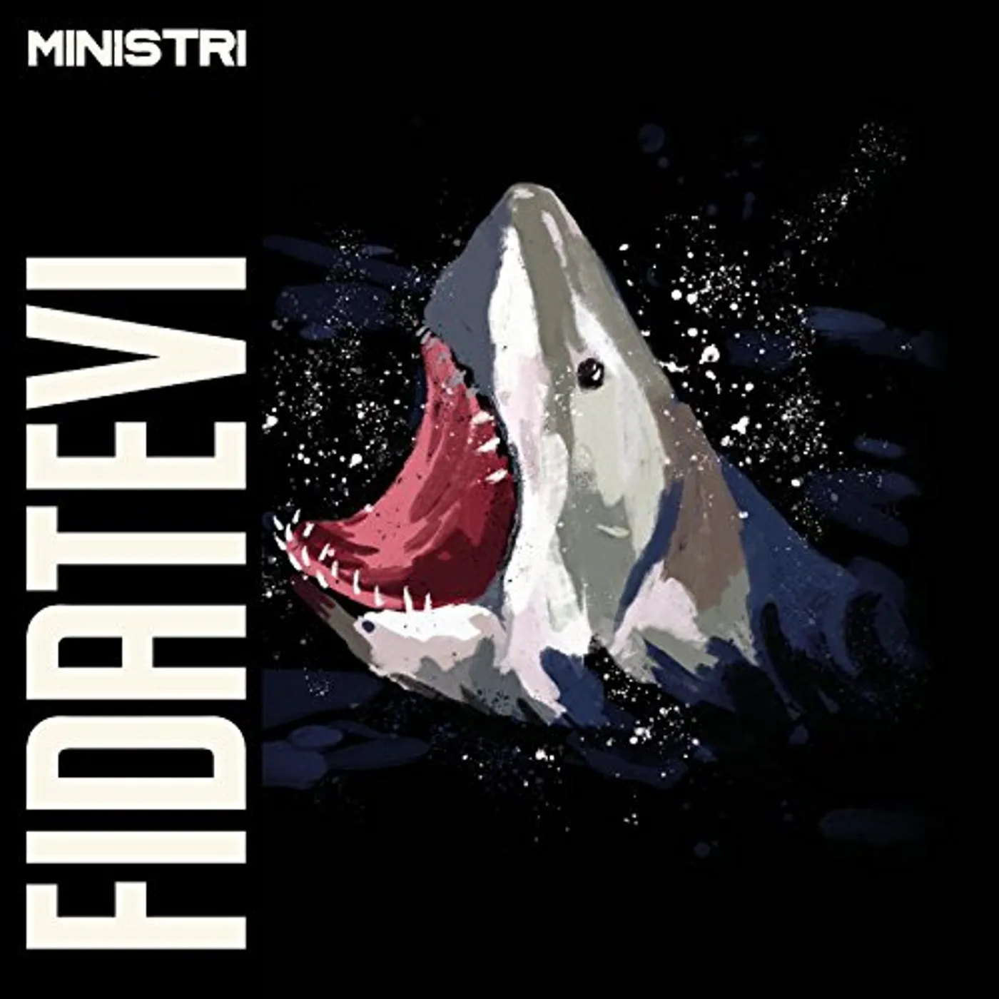 Ministri Fidatevi Vinyl Record