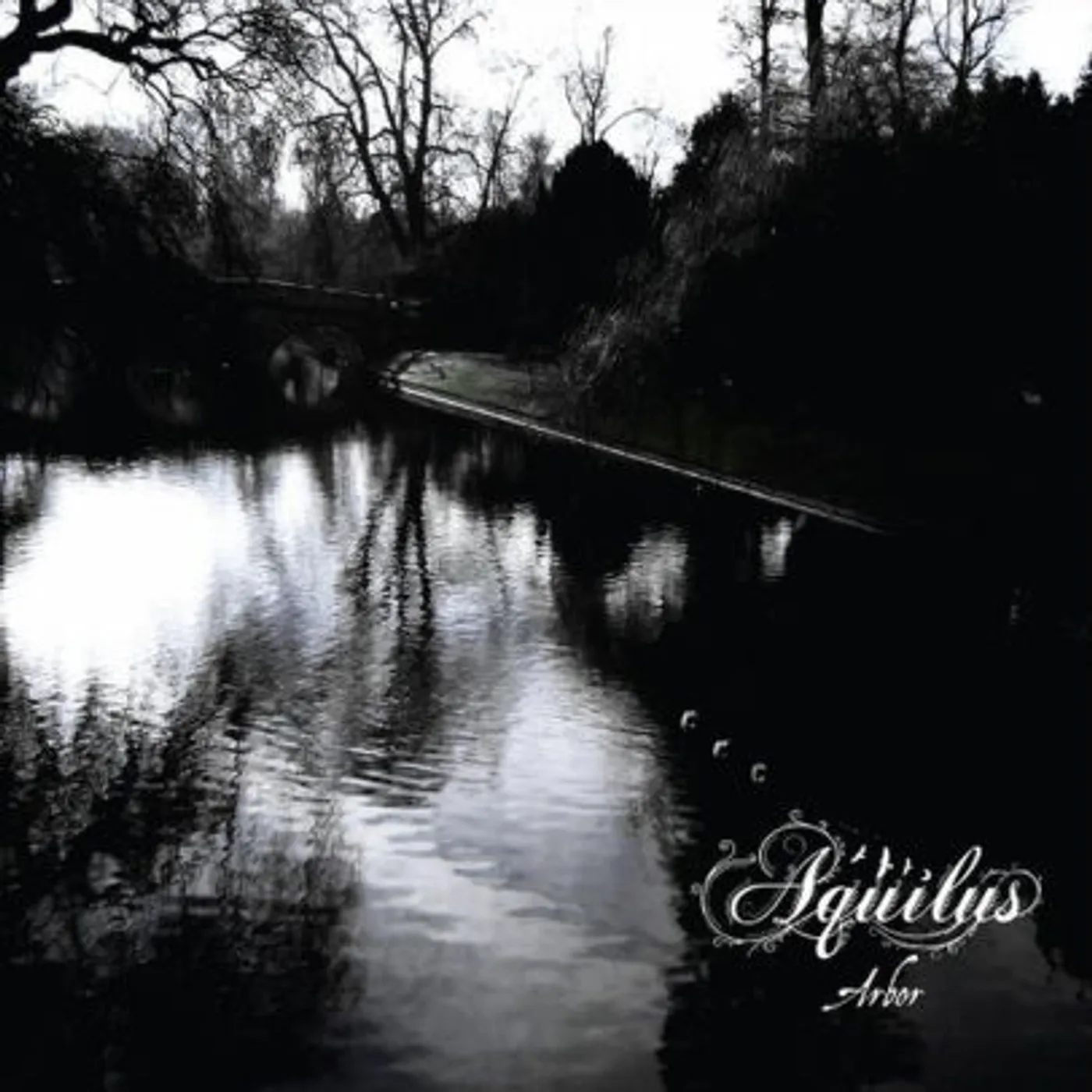 Aquilus ARBOR Vinyl Record