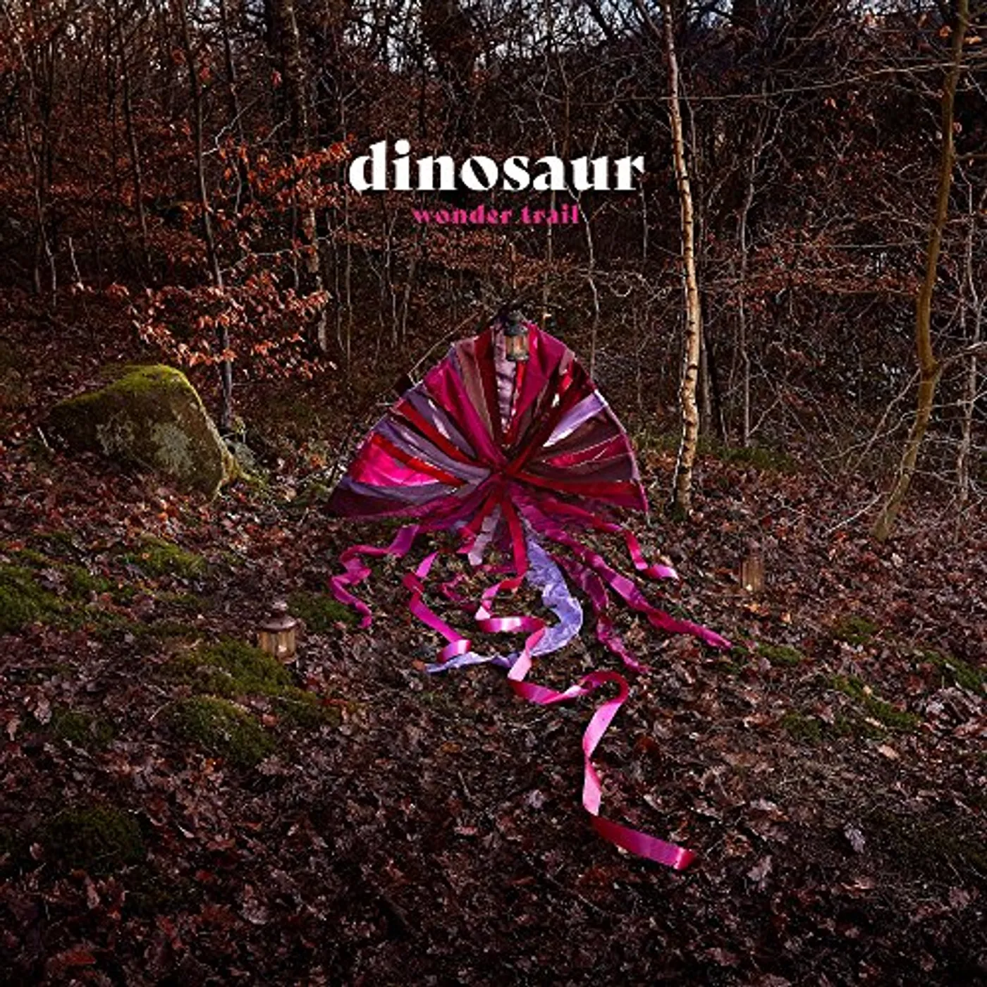 Dinosaur Wonder Trail Vinyl Record