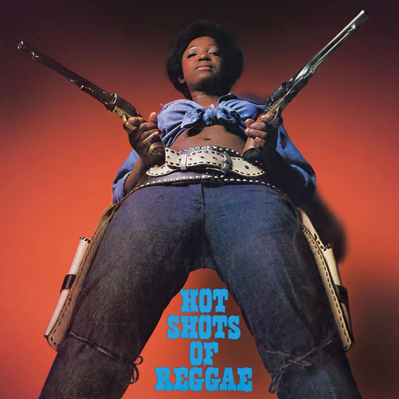HOT SHOTS OF REGGAE / VARIOUS Vinyl Record