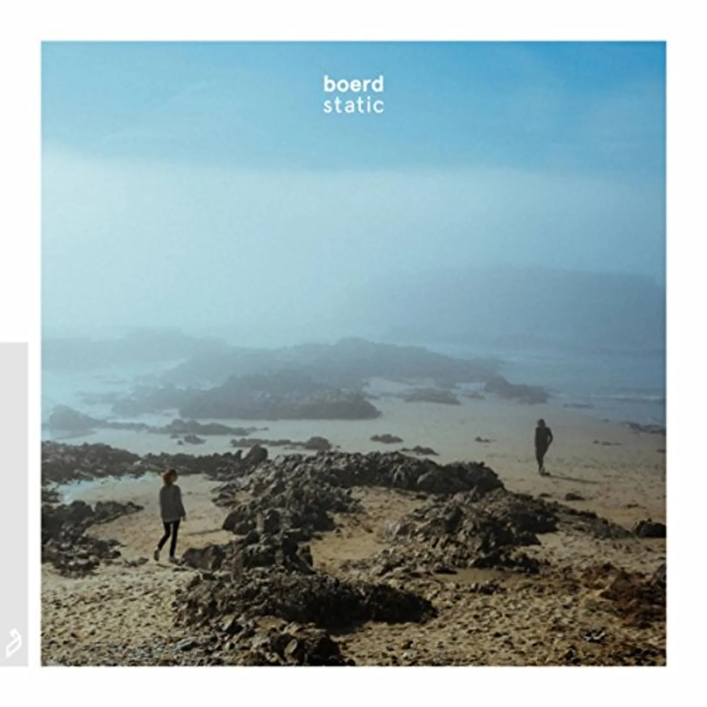 boerd Static Vinyl Record