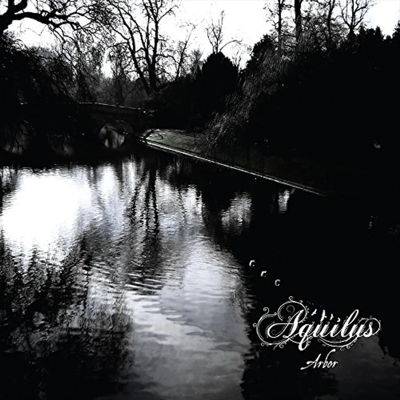 Aquilus Arbor Vinyl Record