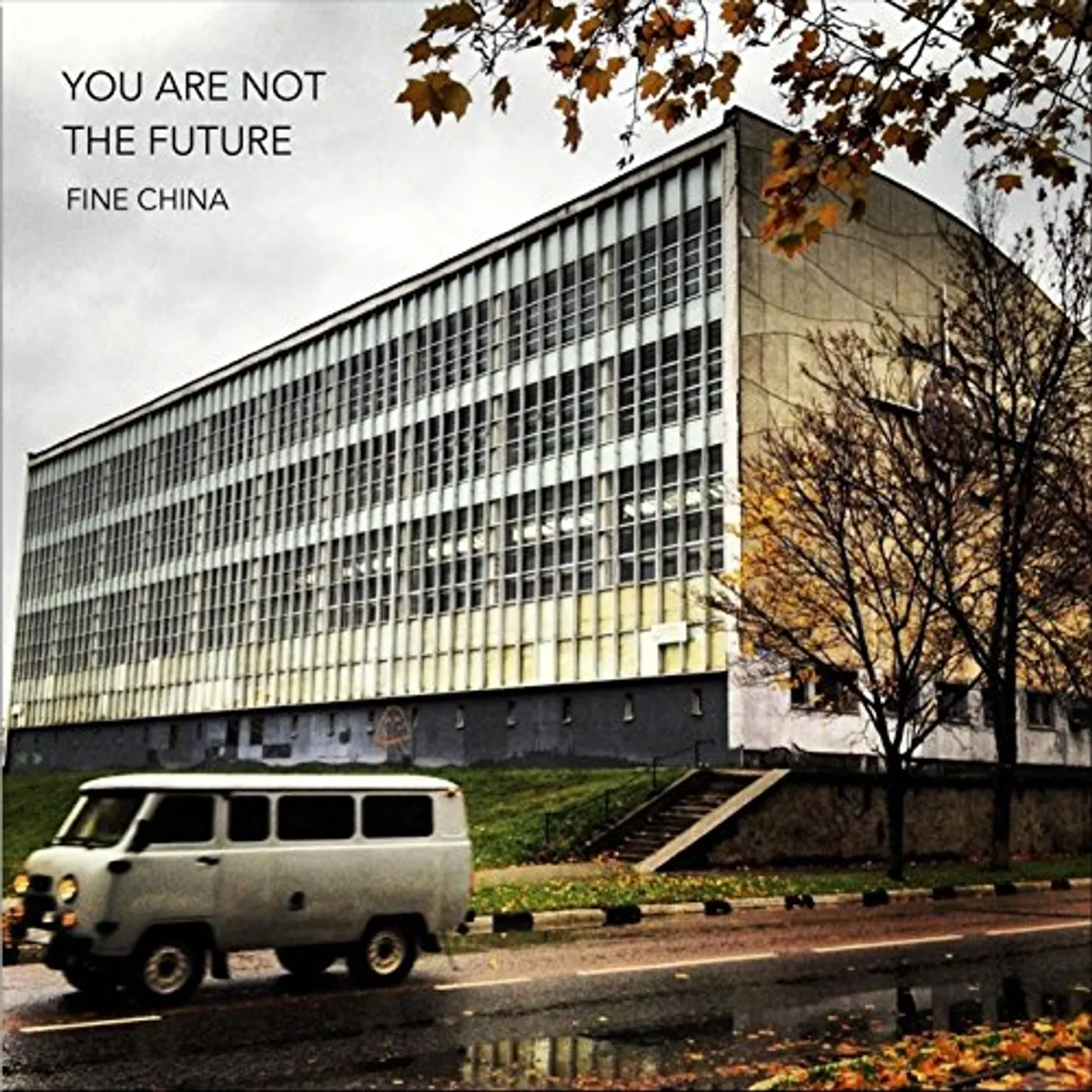 Fine China You Are Not the Future Vinyl Record