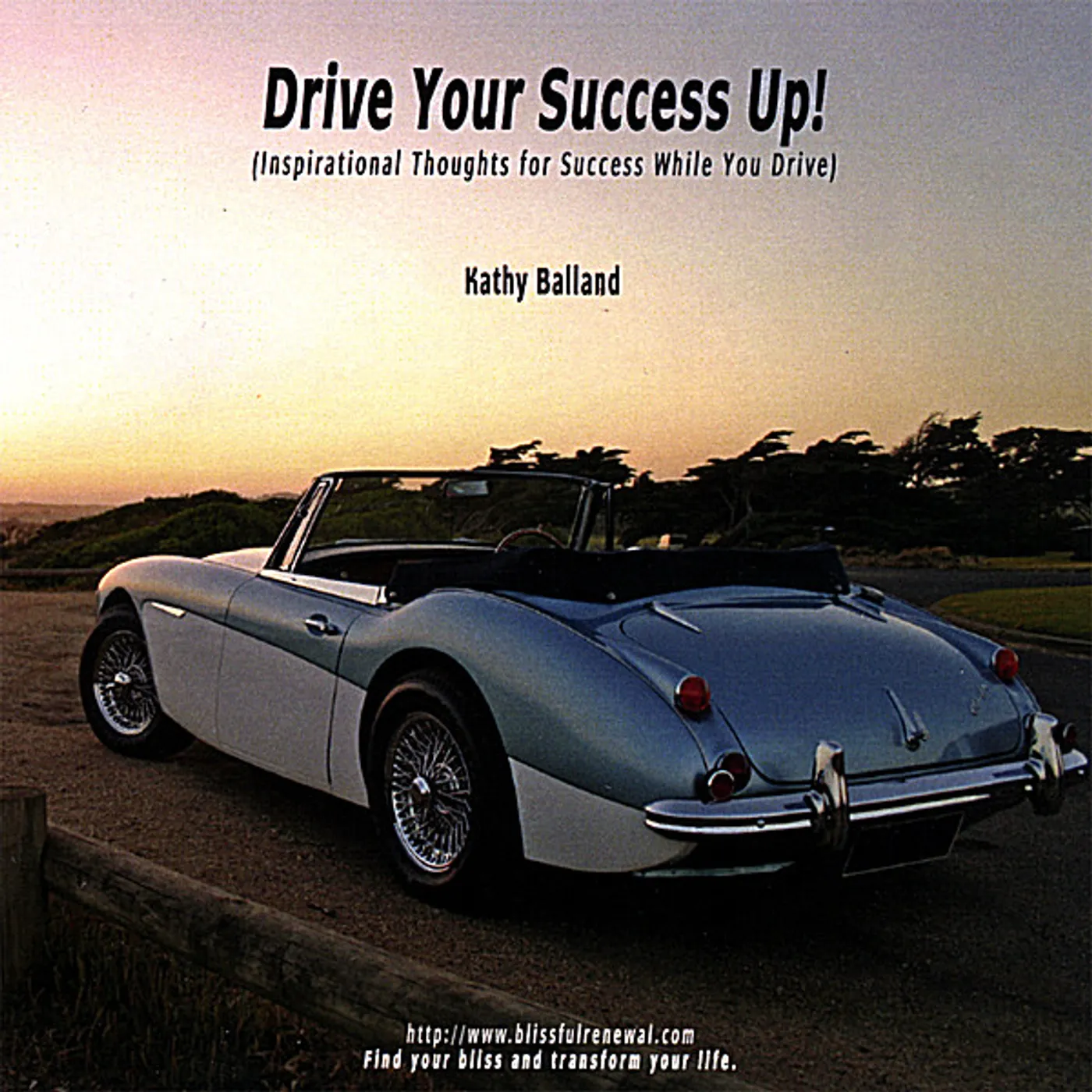 Kathy Balland DRIVE YOUR SUCCESS UP CD