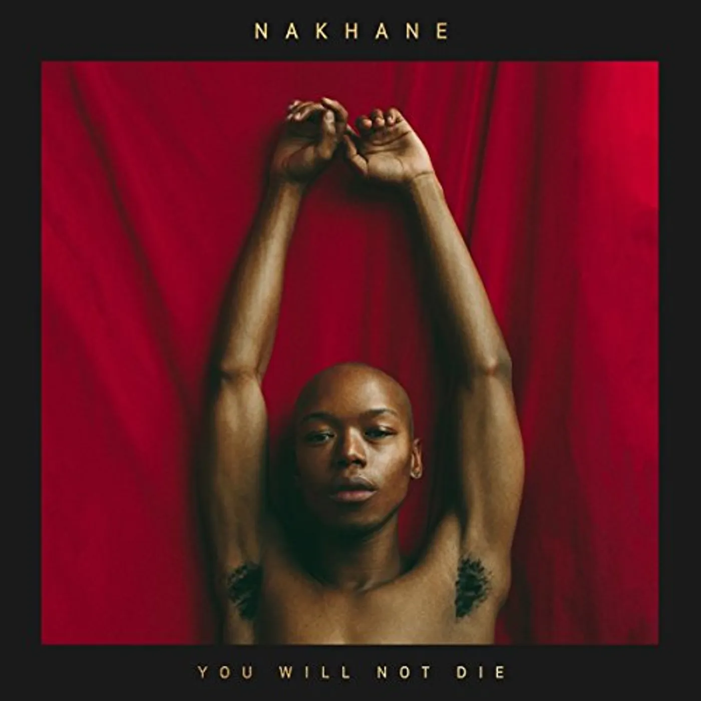 Nakhane You Will Not Die Vinyl Record