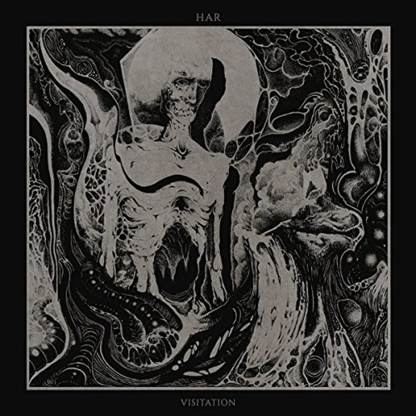 Har Visitation Vinyl Record