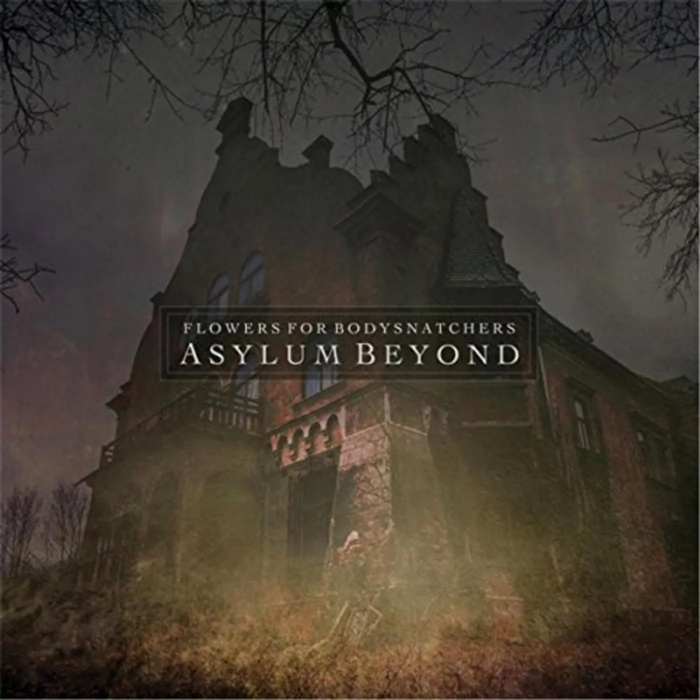 Flowers for Bodysnatchers ASYLUM BEYOND CD