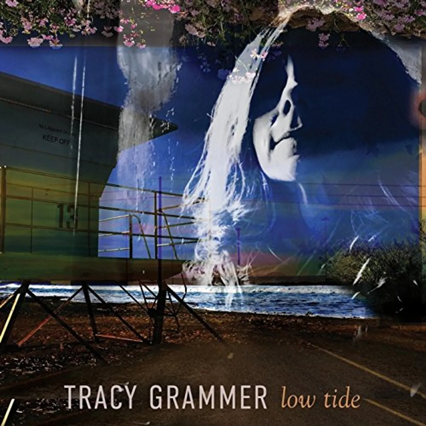 Tracy Grammer LOW TIDE CD