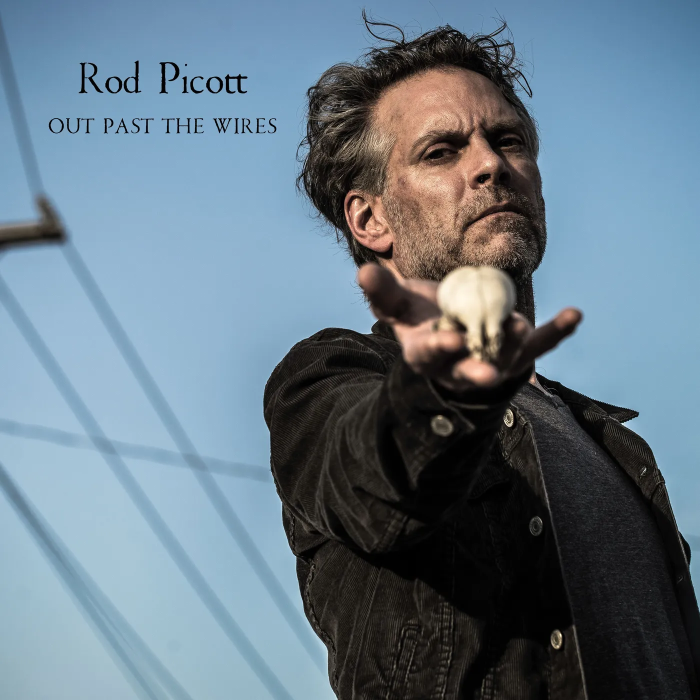 Rod Picott OUT PAST THE WIRES CD