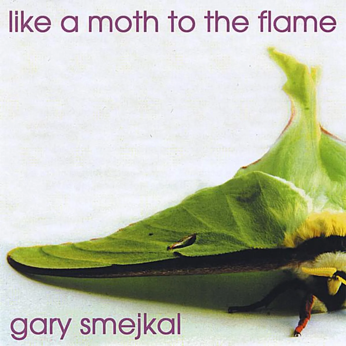 Gary Smejkal LIKE A MOTH TO THE FLAME CD