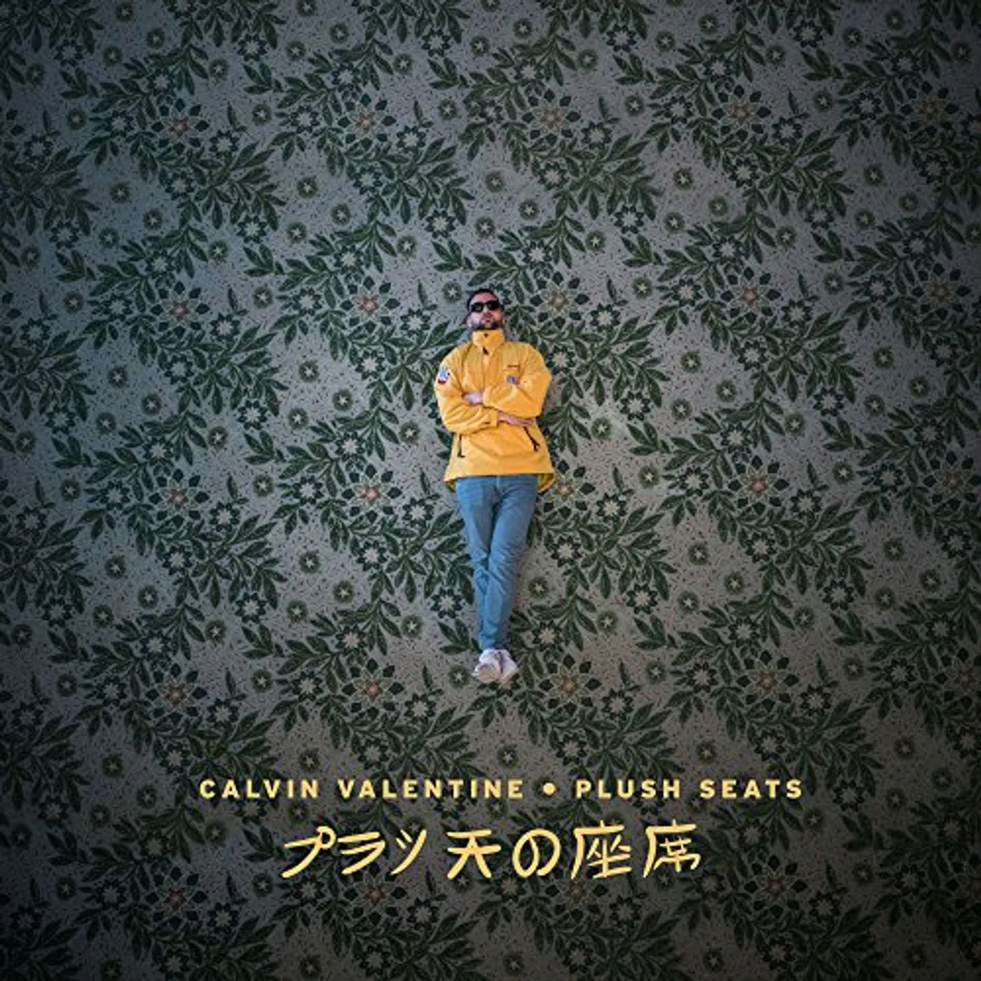 Calvin Valentine Plush Seats Vinyl Record