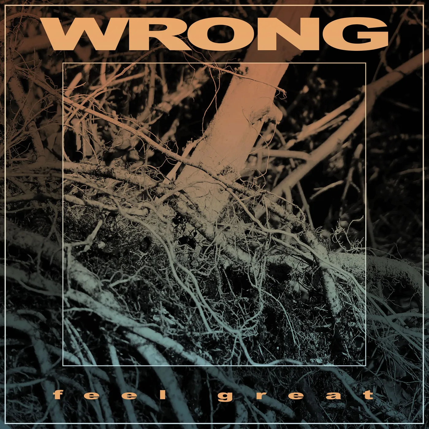 WRONG Feel Great Vinyl Record