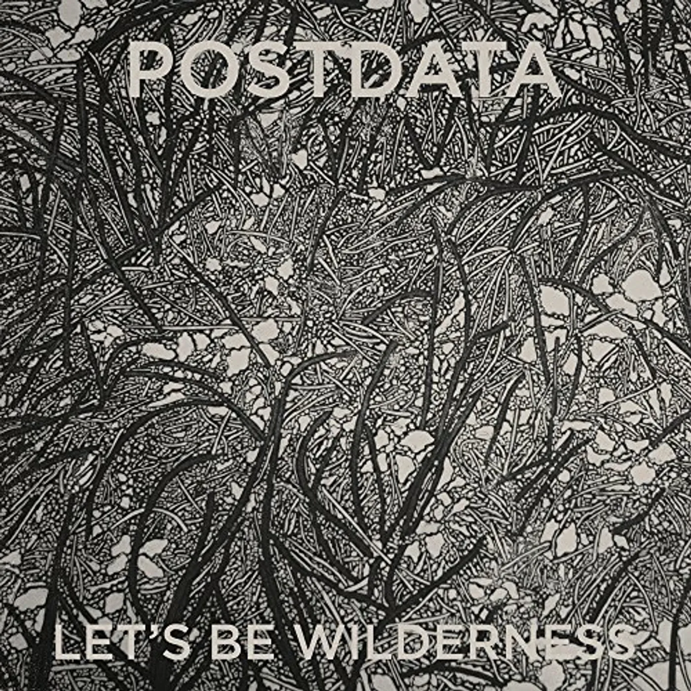 Postdata LET'S BE WILDERNESS CD
