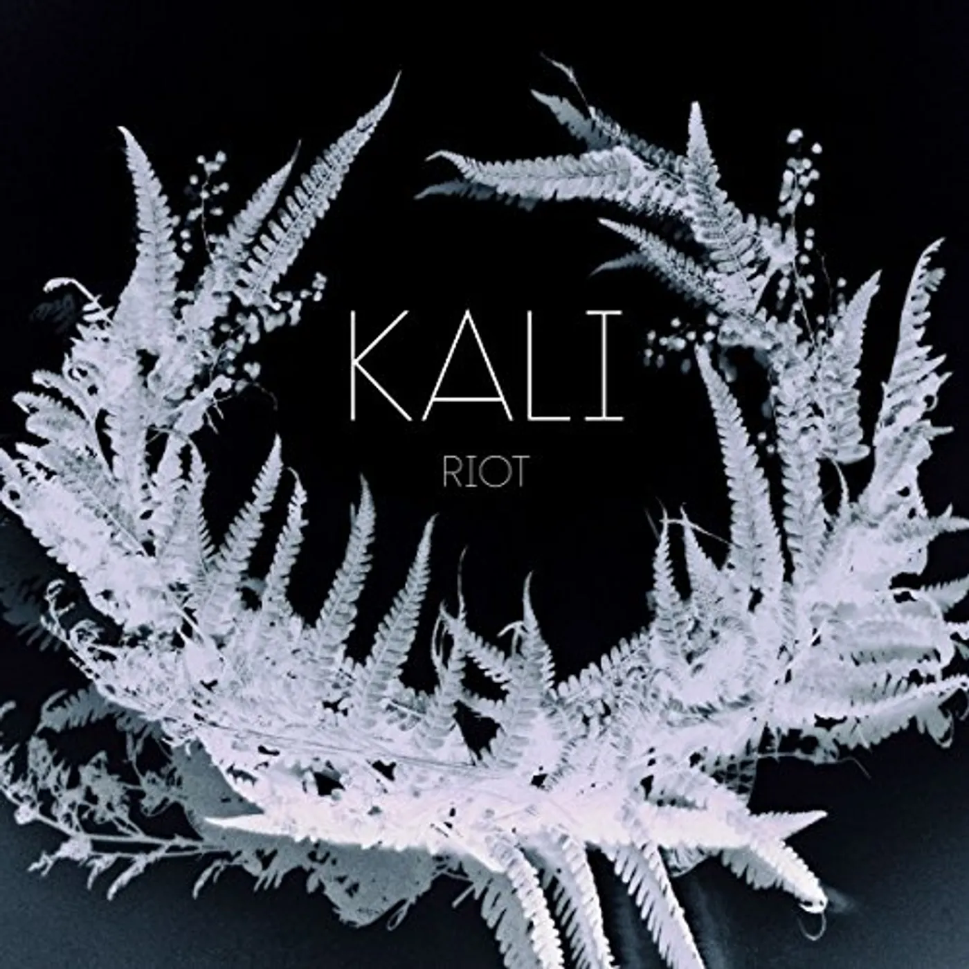 Kali RIOT CD