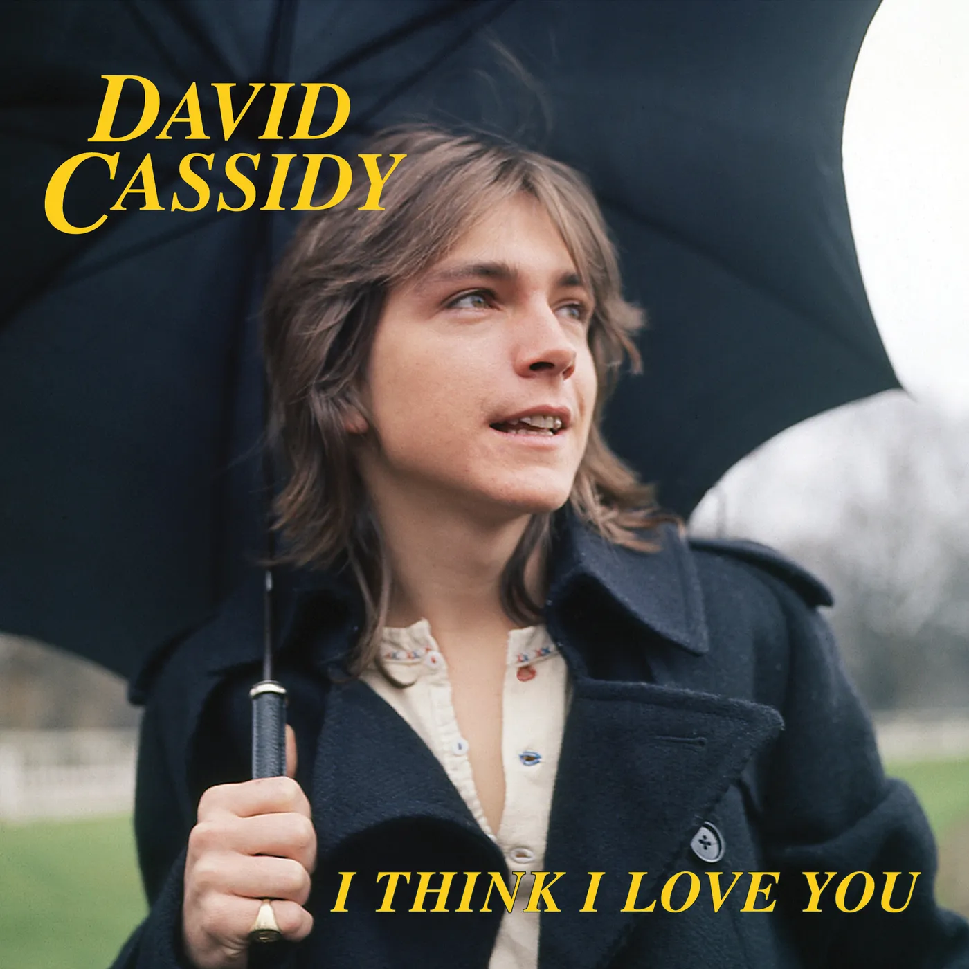 David Cassidy I Think I Love You (Limited Edition/ 7''/ Colored) Vinyl Record