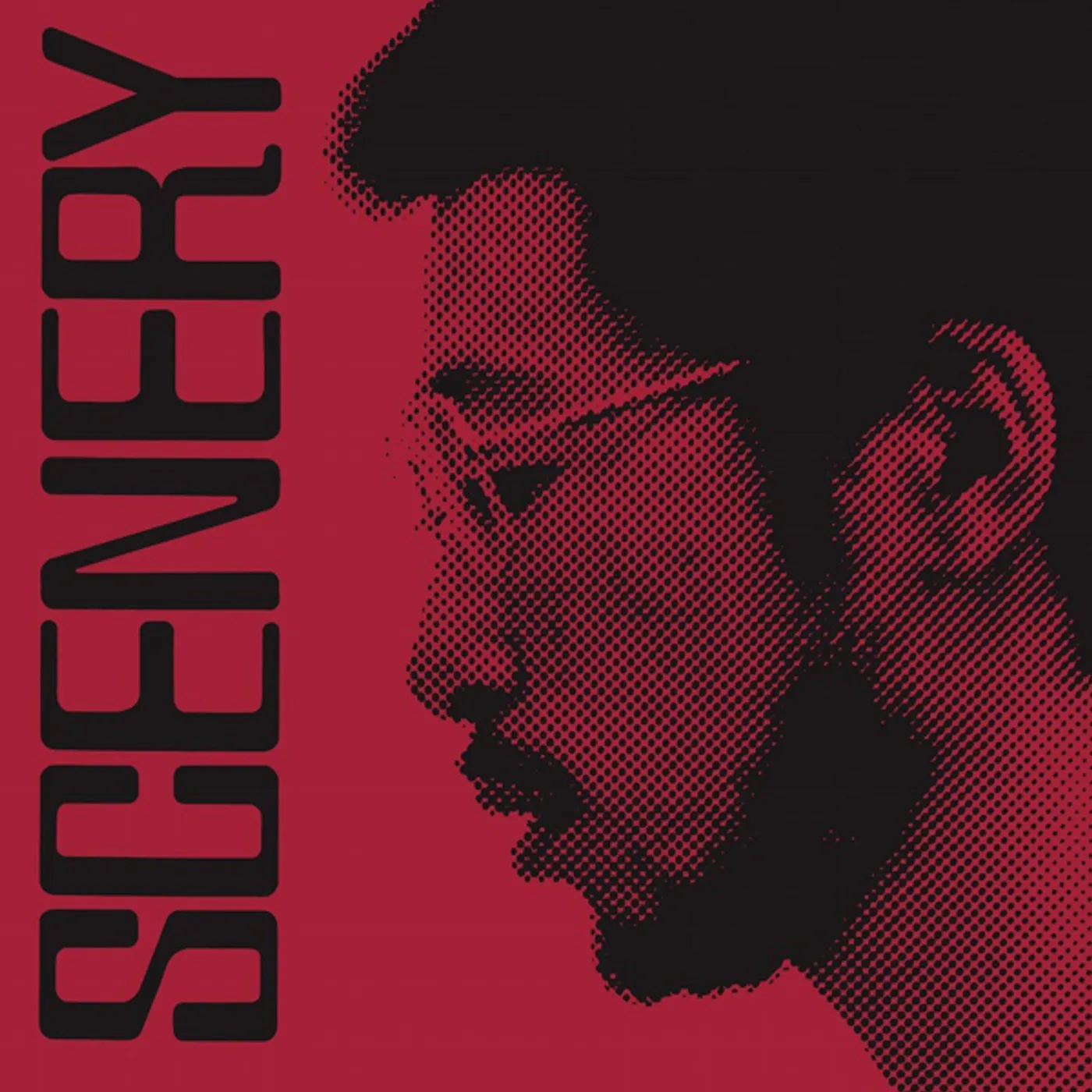 Ryo Fukui SCENERY CD