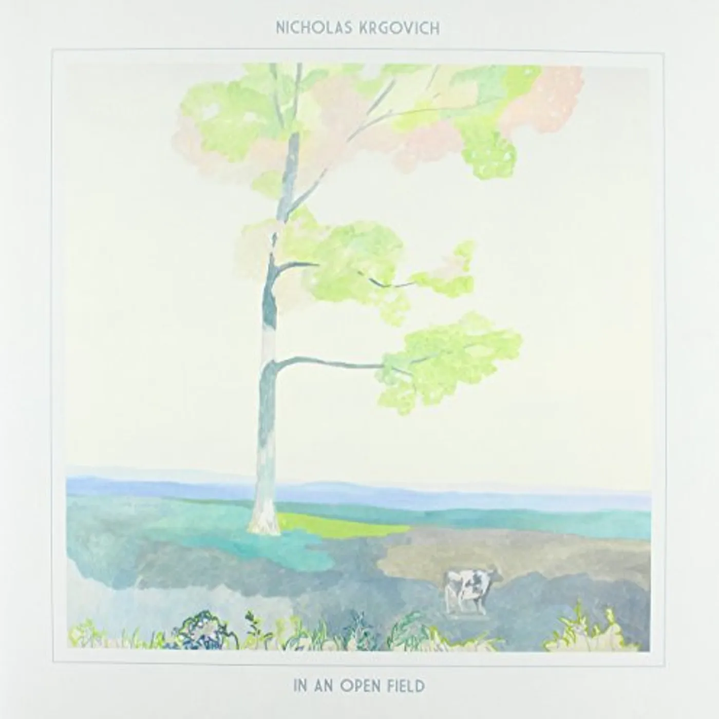 Nicholas Krgovich In an Open Field Vinyl Record