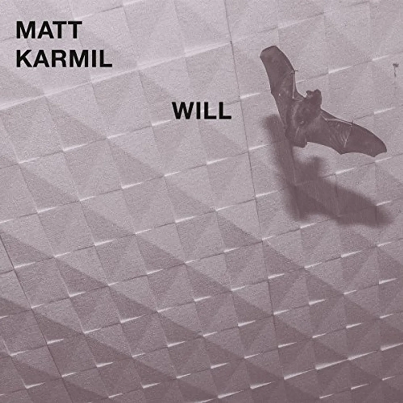 Matt Karmil Will Vinyl Record