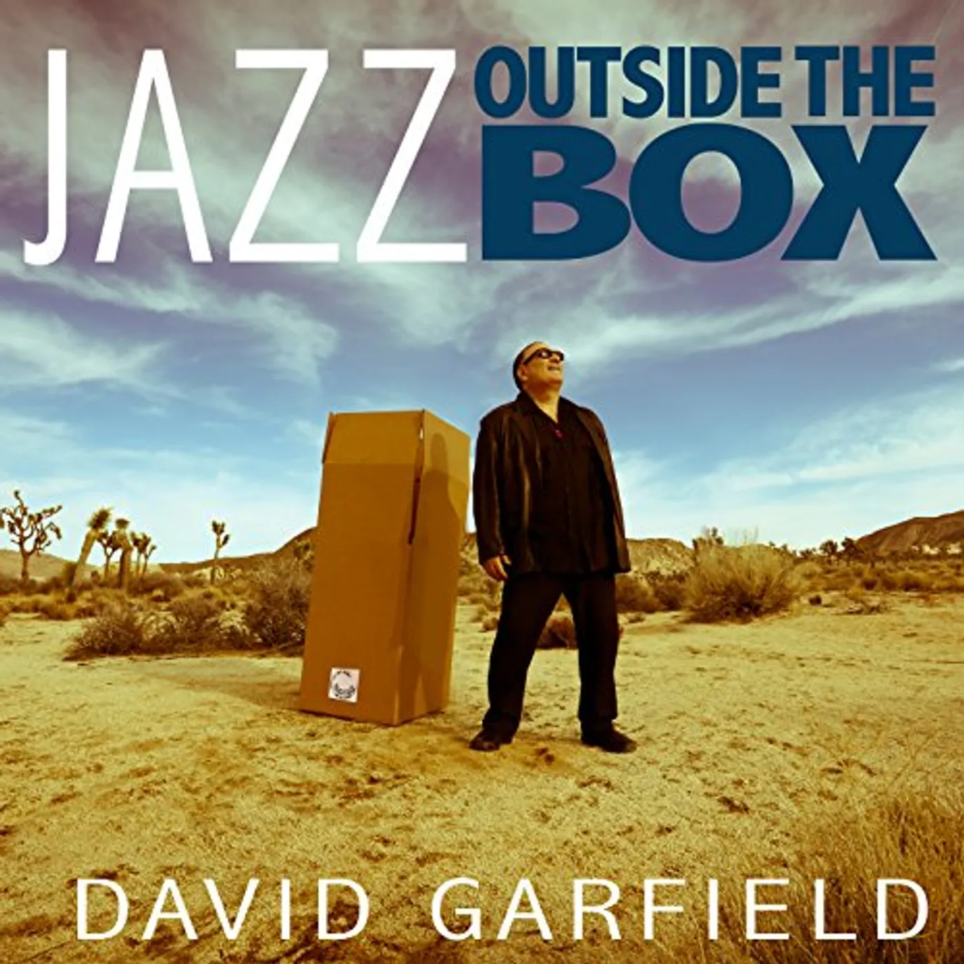 David Garfield JAZZ OUTSIDE THE BOX CD