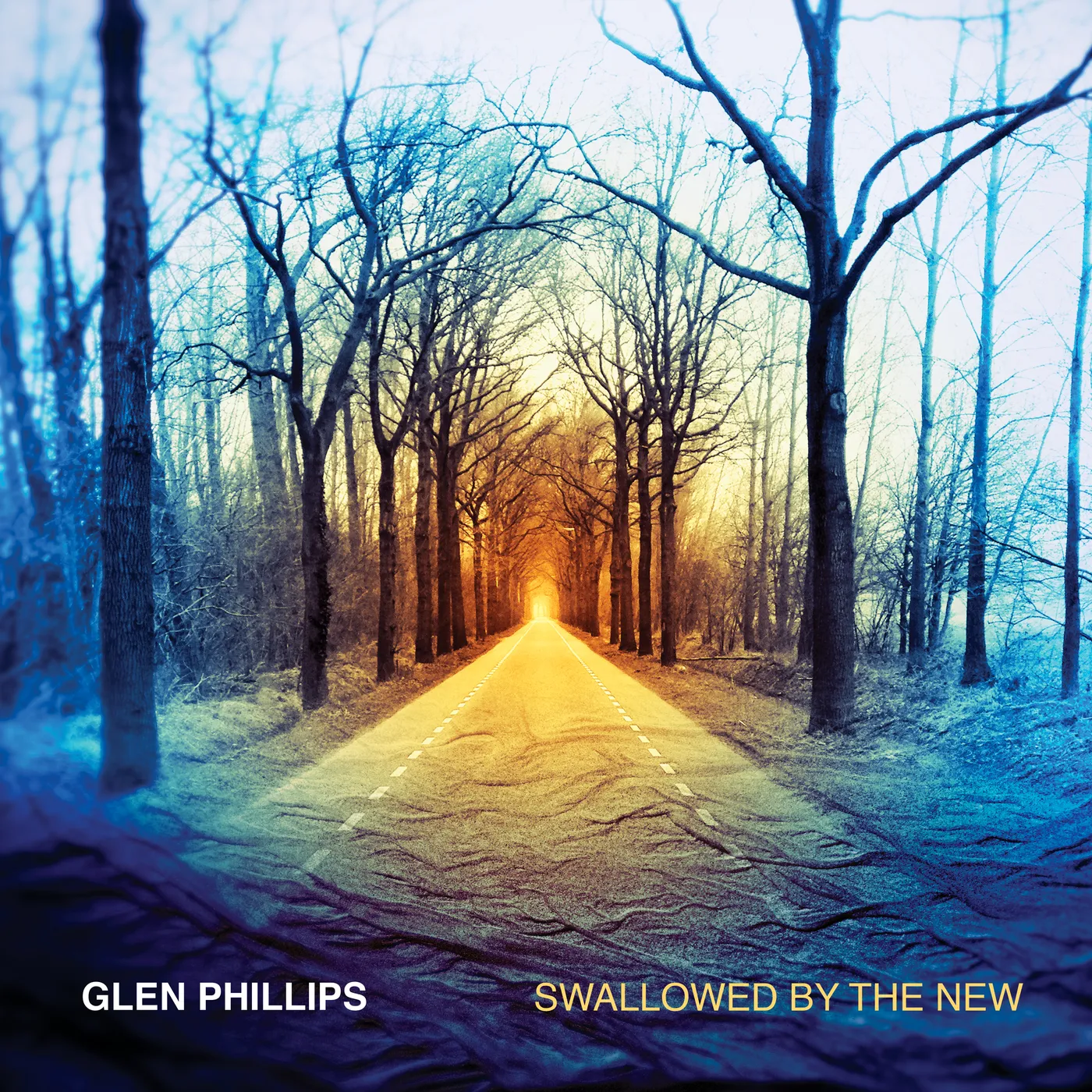 Glen Phillips Swallowed by the New (Deluxe Edition) Vinyl Record