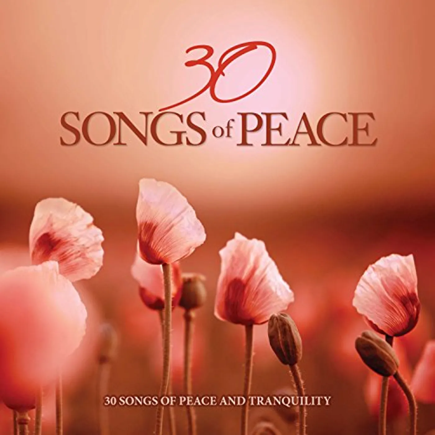 Various Artists  30 SONGS OF PEACE (2 CD) CD
