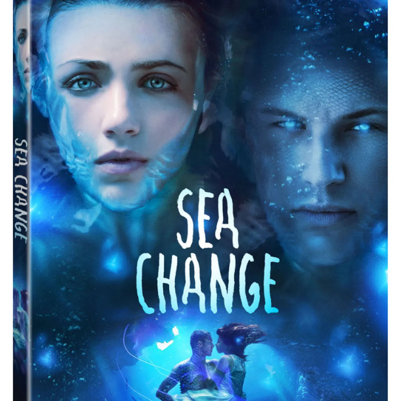 SEA CHANGE DVD