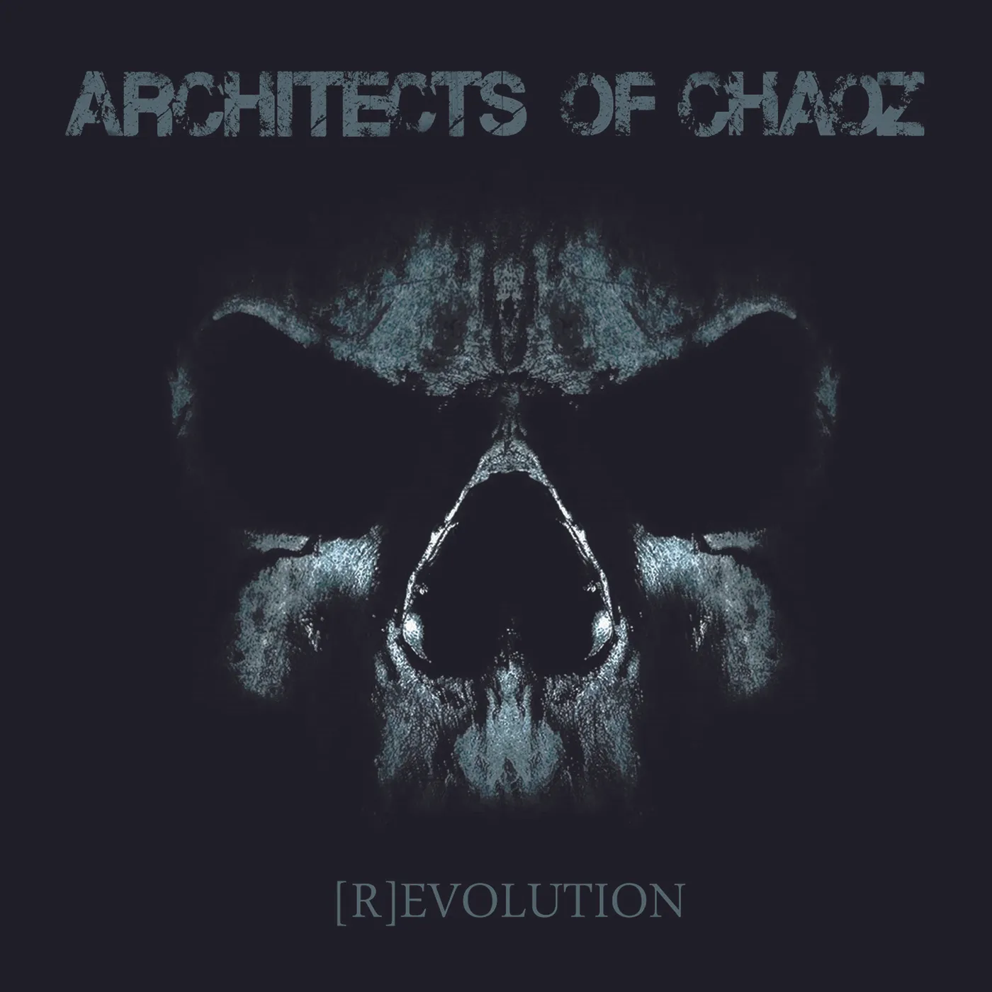 Architects of Chaoz (R)EVOLUTION Vinyl Record