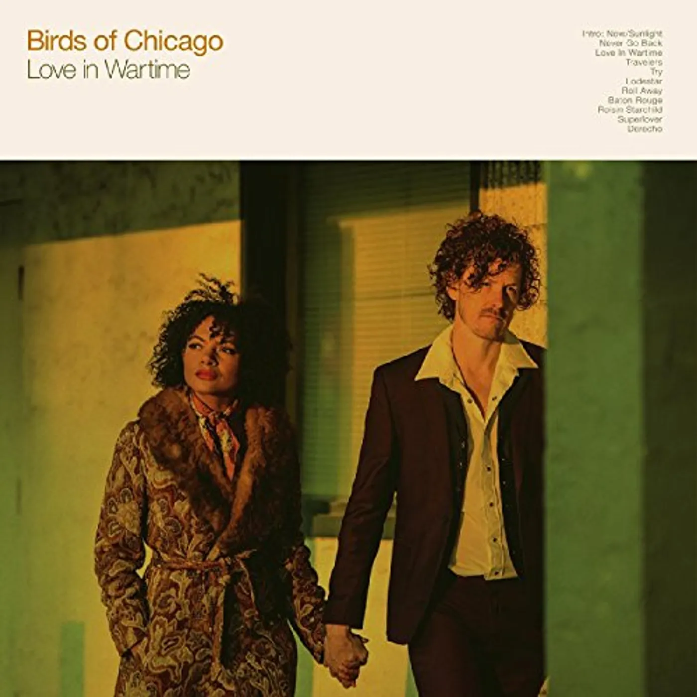 Birds of Chicago LOVE IN WARTIME CD
