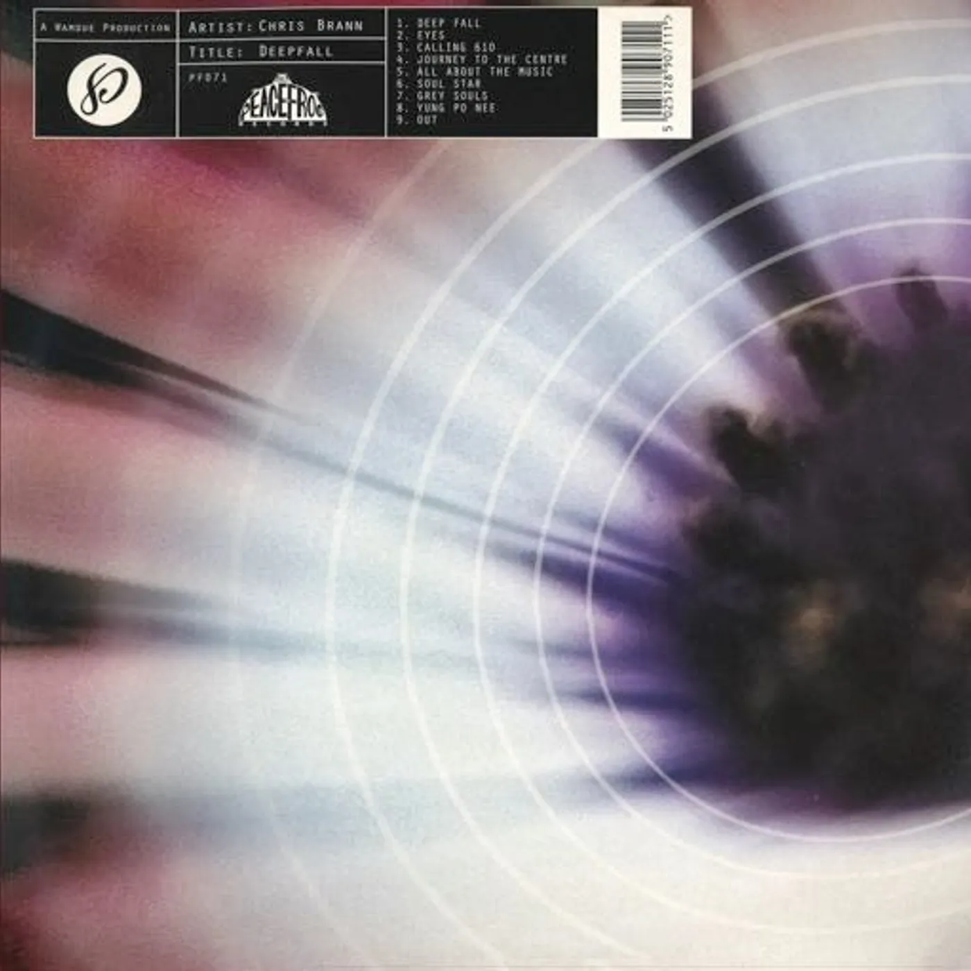 Chris Brann Deep Fall Vinyl Record