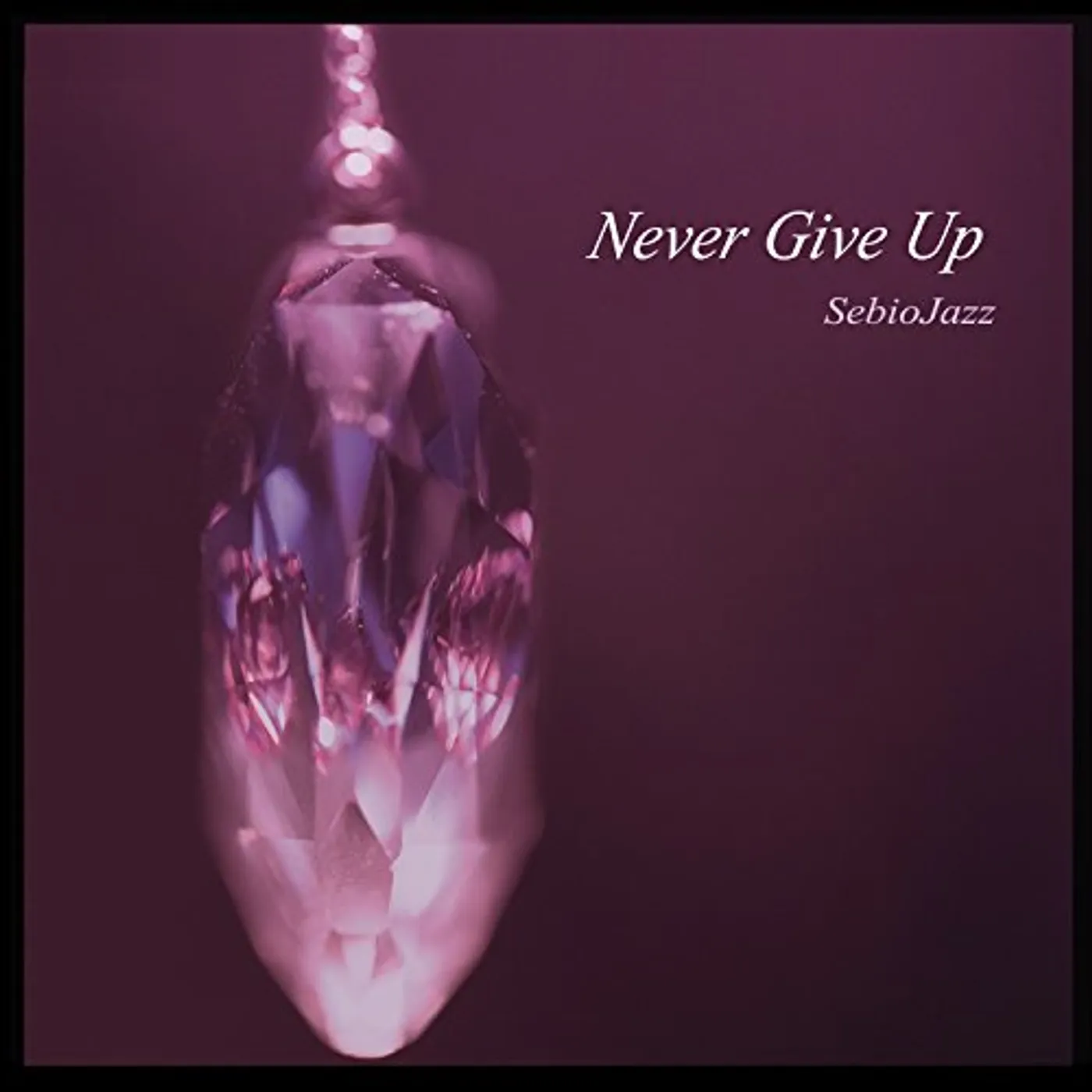 SebioJazz NEVER GIVE UP CD