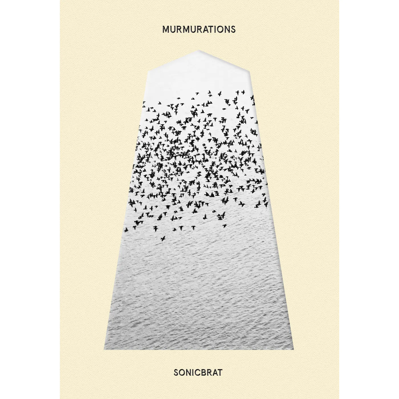 Sonicbrat MURMURATIONS CD