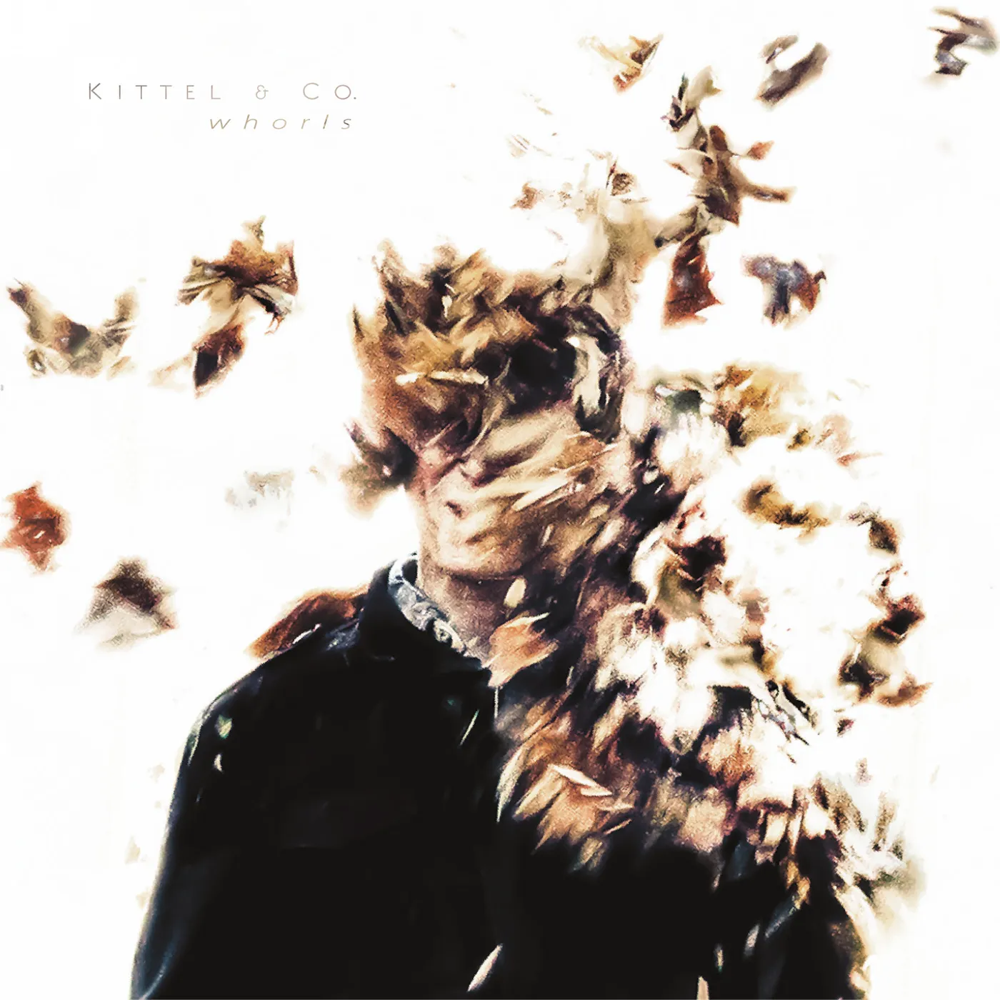 Kittel & Co. WHORLS CD
