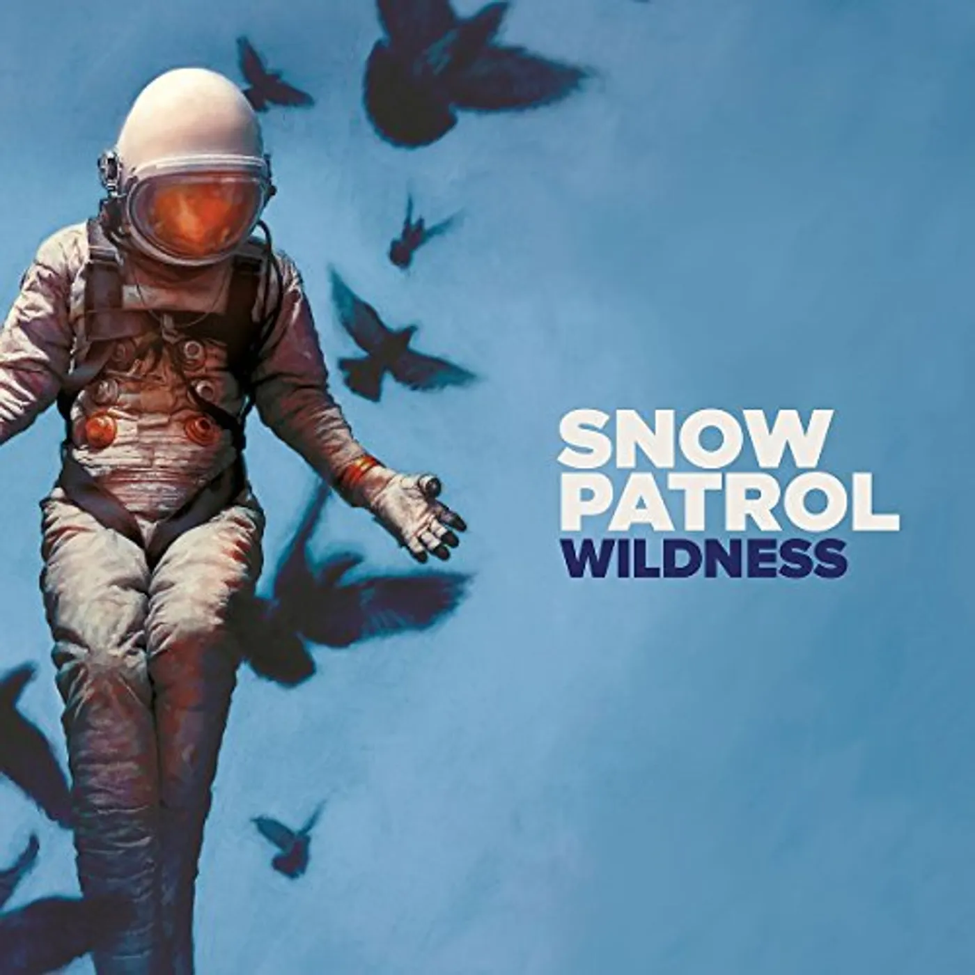 Snow Patrol Wildness Vinyl Record