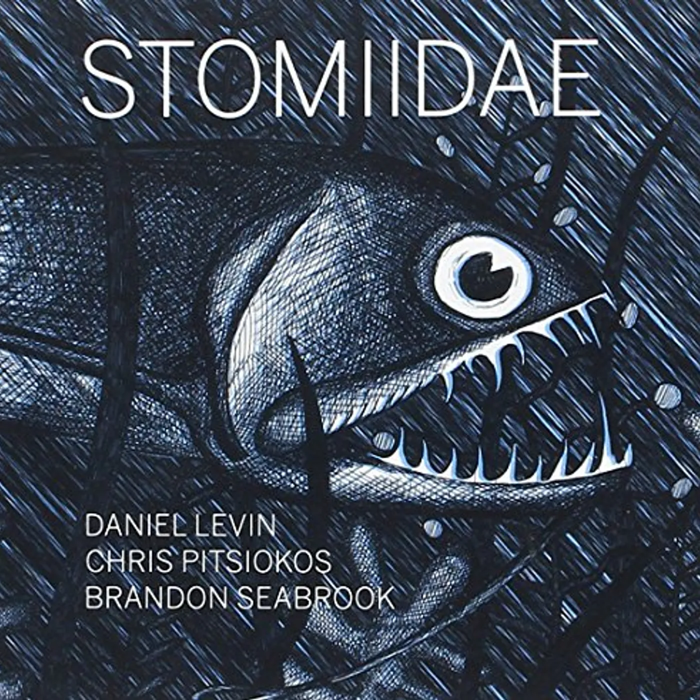 Daniel Levin STOMIIDAE CD