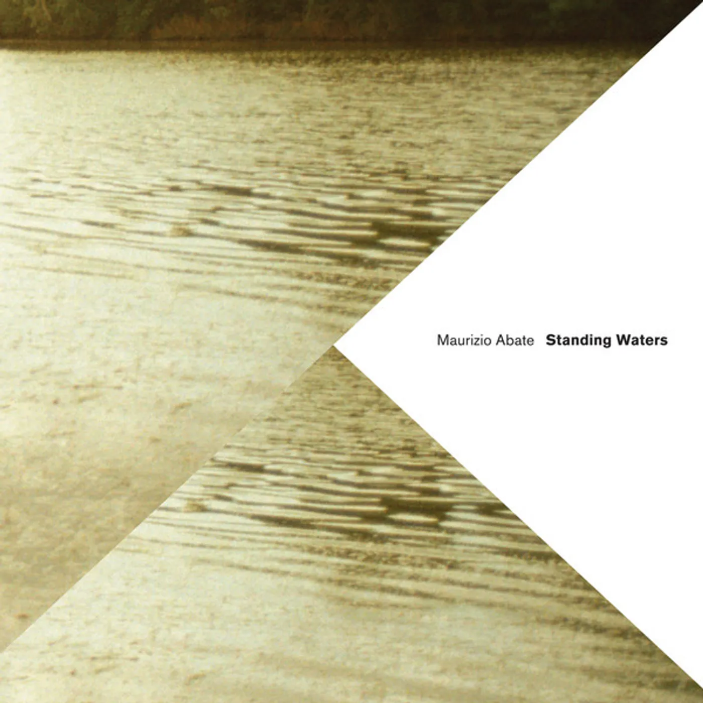 Maurizio Abate Standing Waters Vinyl Record