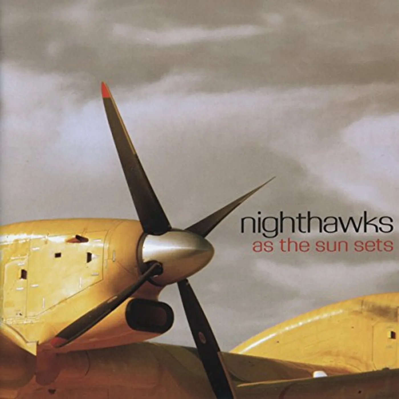 Nighthawks As the Sun Sets Vinyl Record