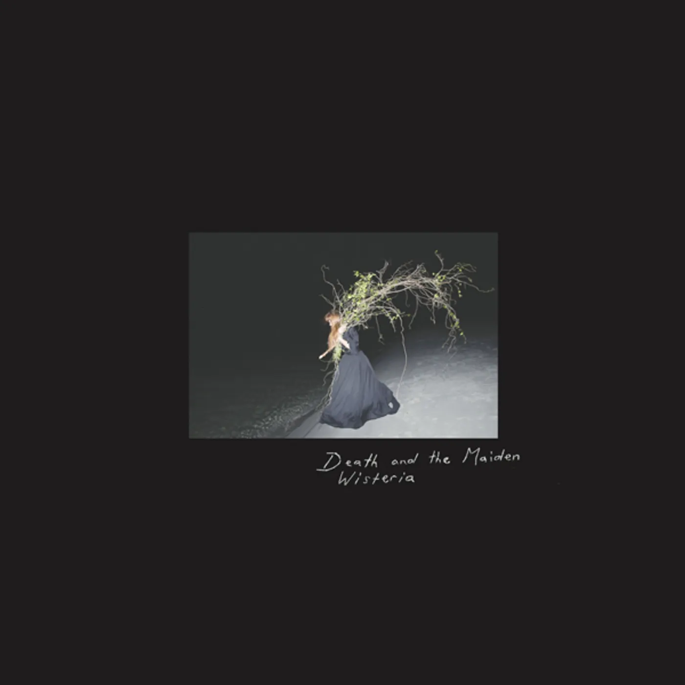 Death & Maiden WISTERIA CD