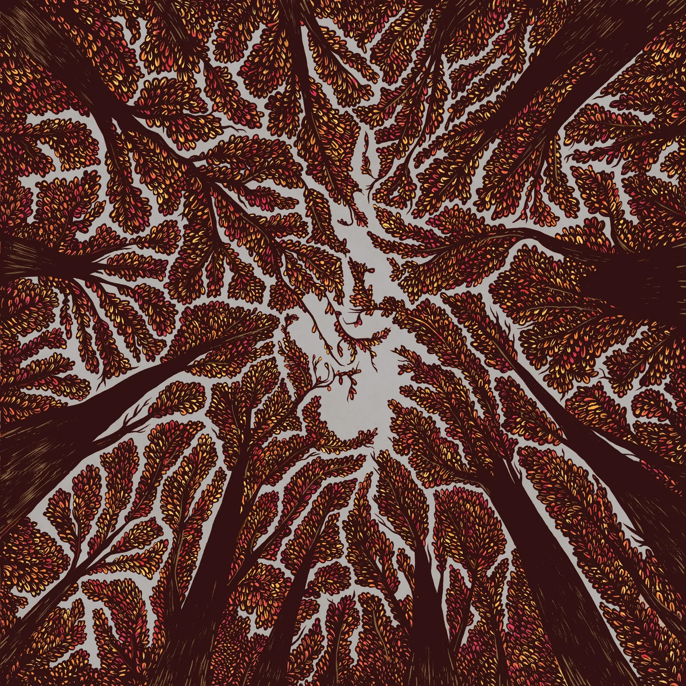 Trash Boat CROWN SHYNESS CD