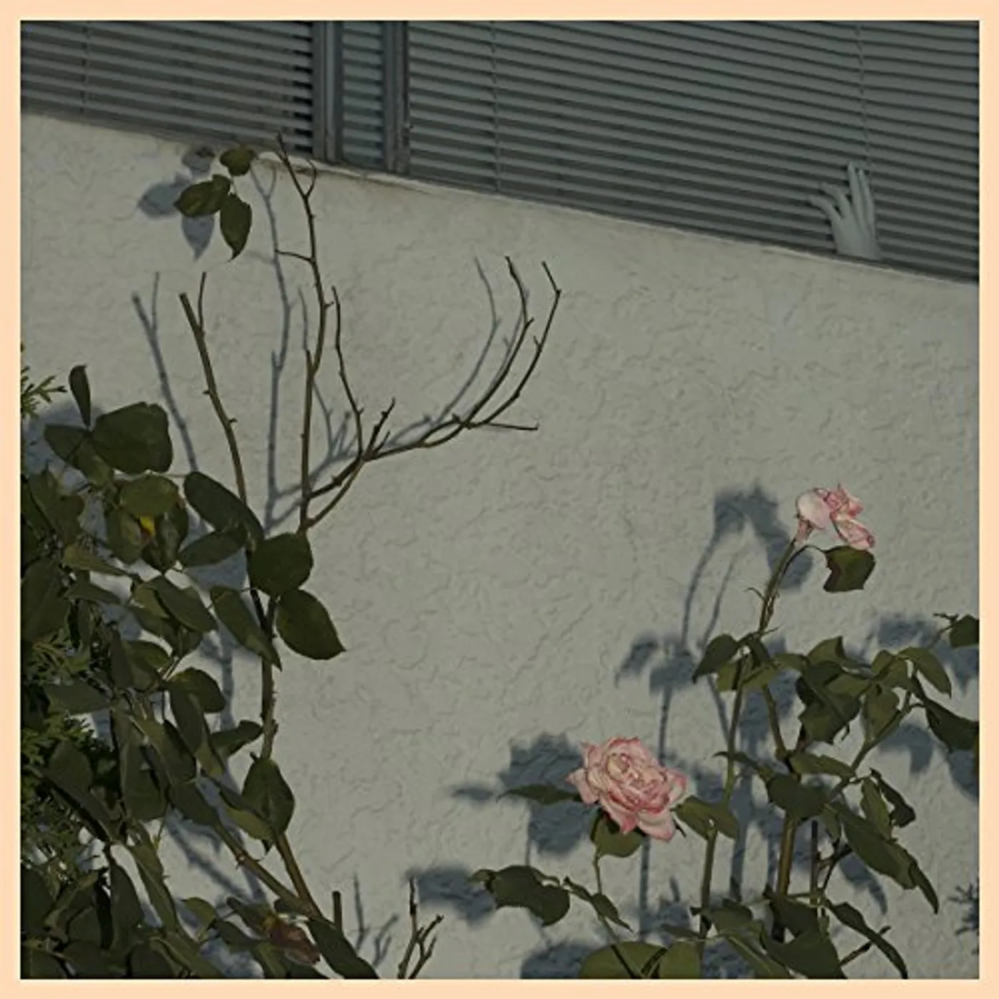 Soft Kill SAVIOR CD
