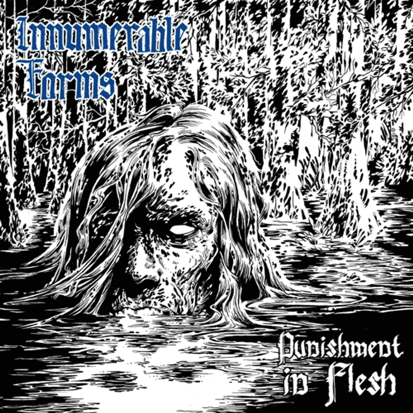 Innumerable Forms PUNISHMENT IN FLESH CD