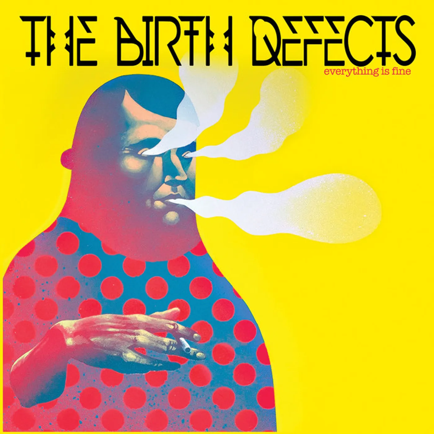 The Birth Defects Everything Is Fine Vinyl Record