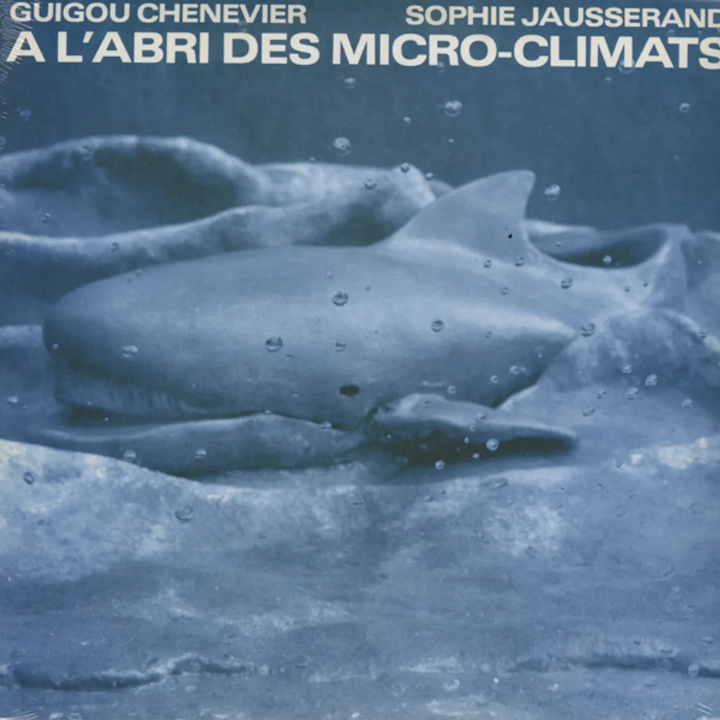 Guigou Chenevier A L'ABRI DES MICRO CLIMATS Vinyl Record