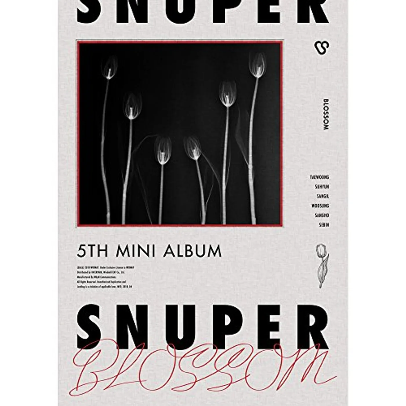SNUPER BLOSSOM CD