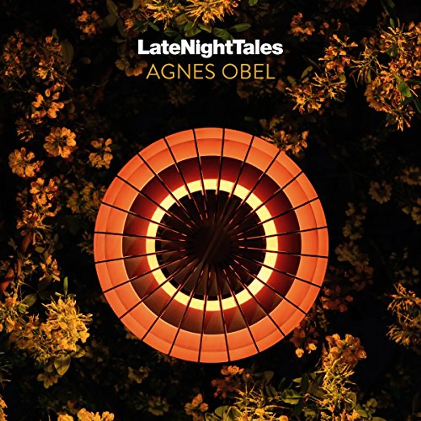 Various Artists  LATE NIGHT TALES: AGNES OBEL (2LP/DL CODE) Vinyl Record