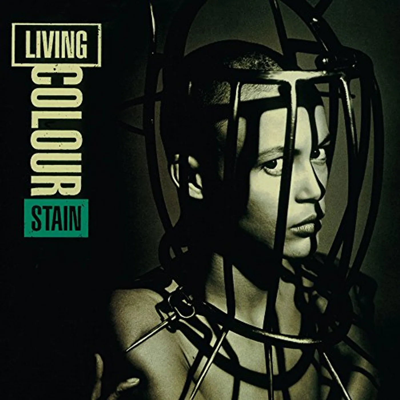 Living Colour Stain Vinyl Record
