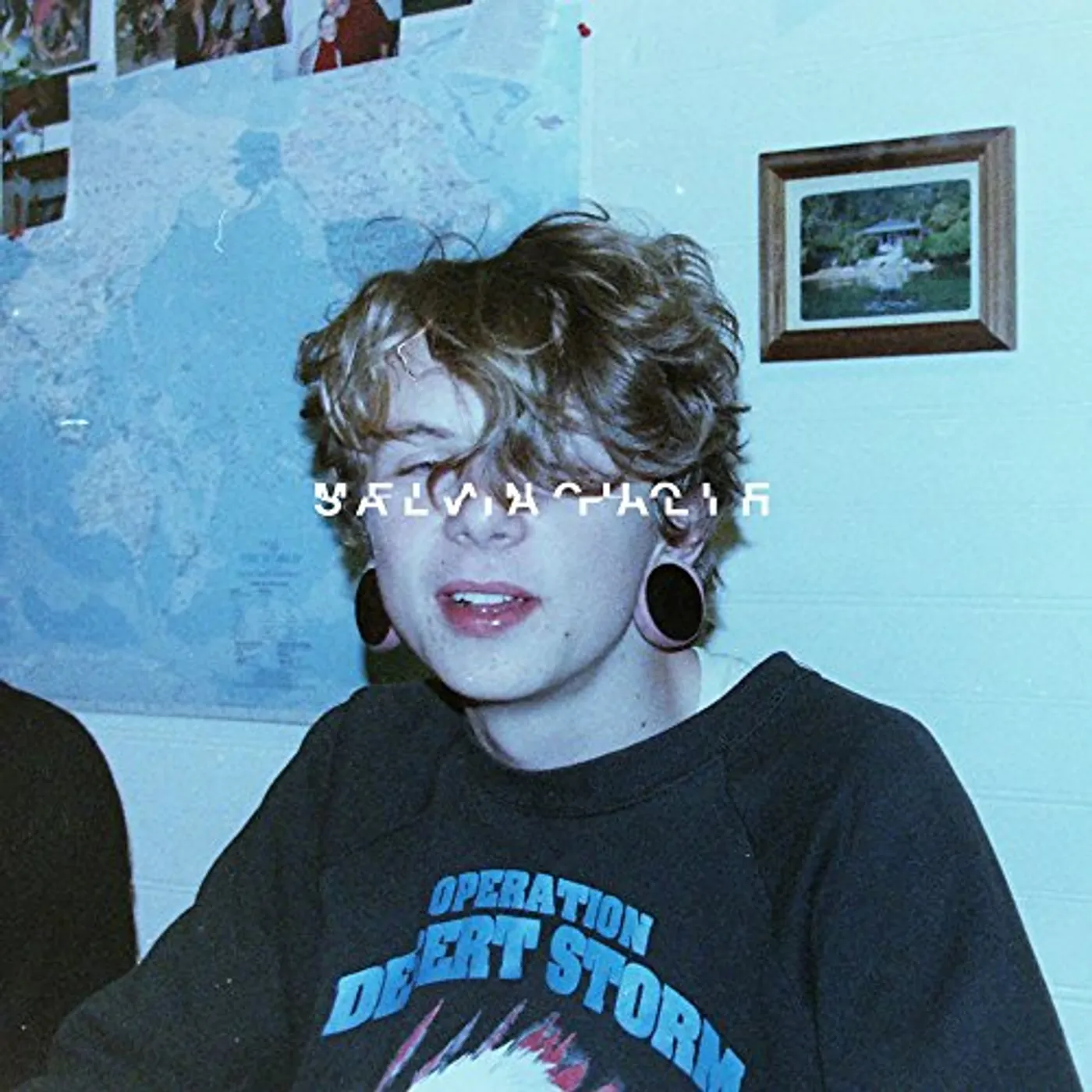 salvia palth melanchole Vinyl Record
